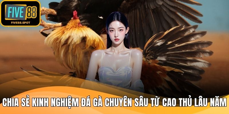 Chia sẻ kinh nghiệm đá gà