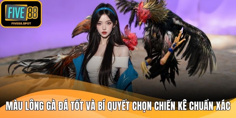 Màu lông gà đá tốt